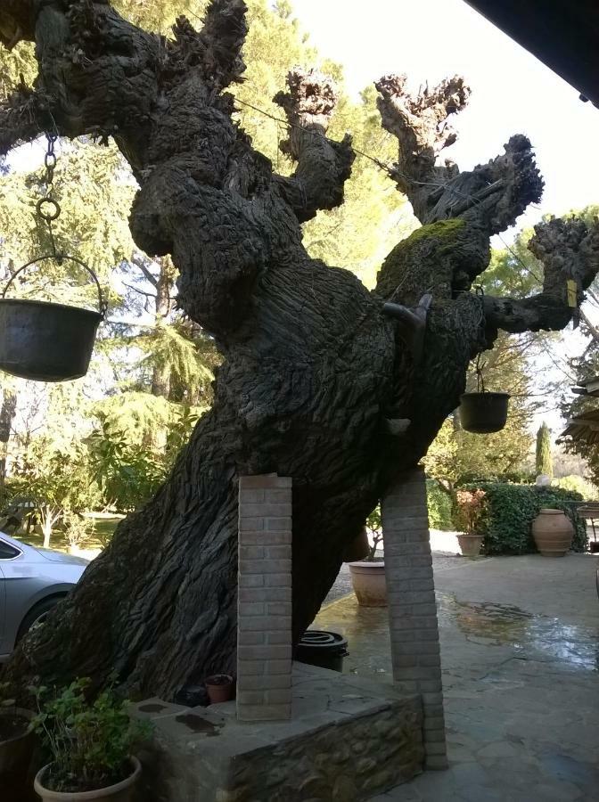 Casavacanze I Pini Cerbaia Exterior foto